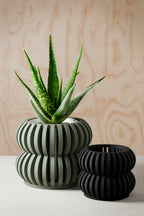 Orchid Planter Double Bubbles, front view - House Of Avana