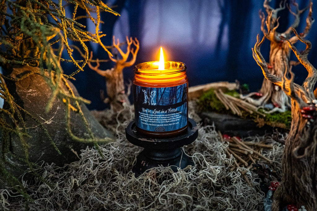 You're Lost in a Forest