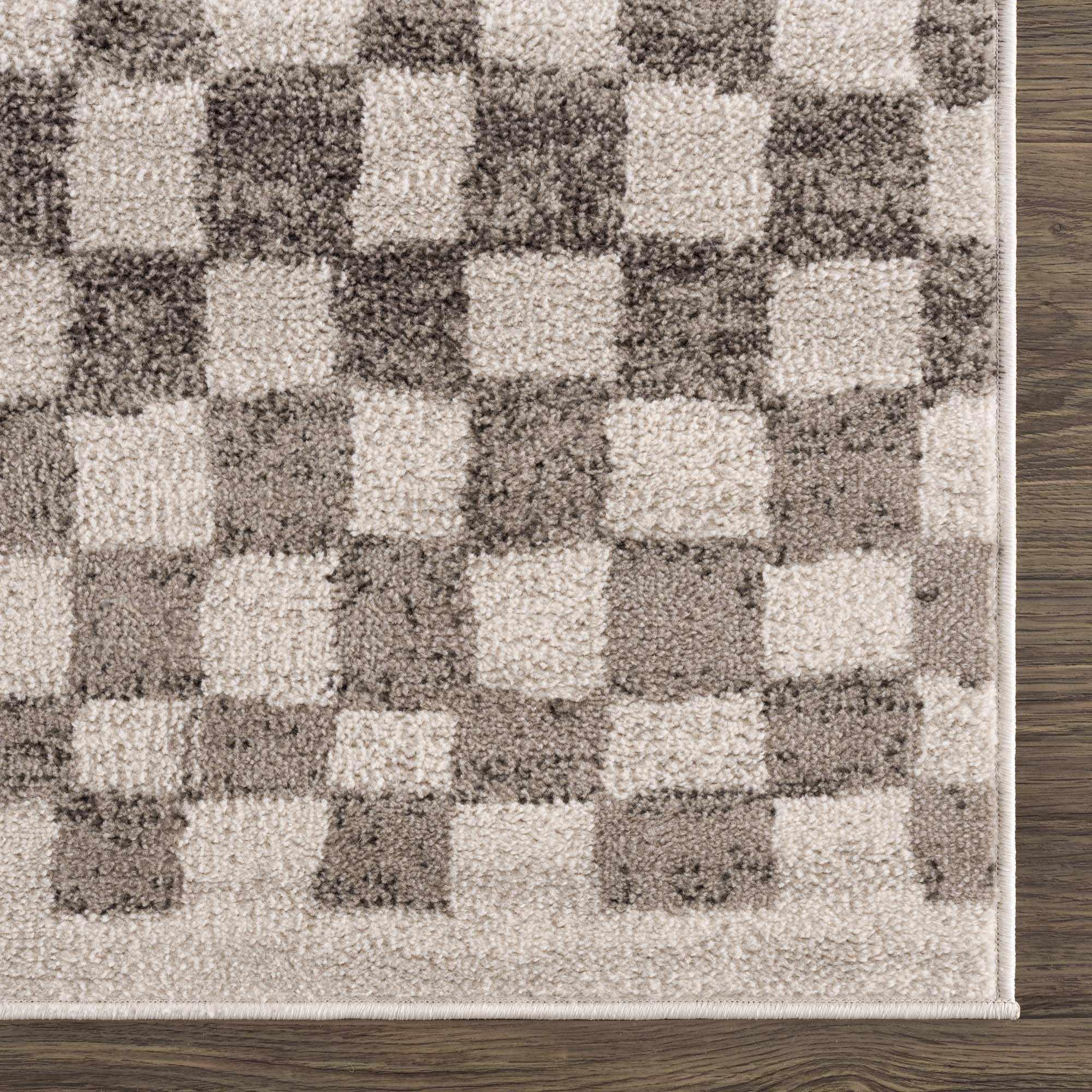 Benjy Beige Checkered Area Rug Hauteloom