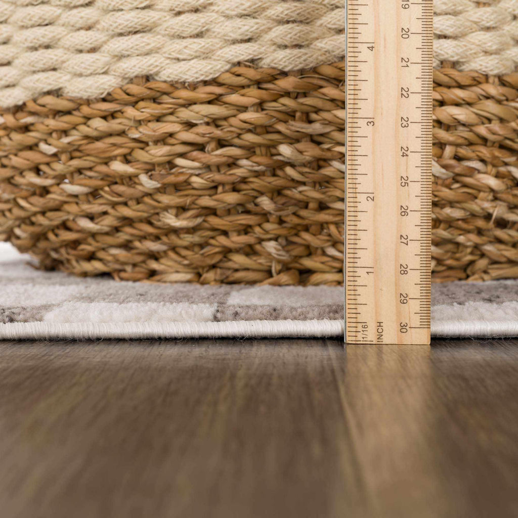 Benjy Beige Checkered Area Rug Hauteloom