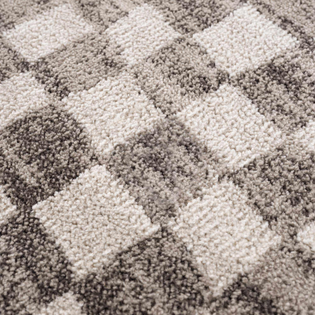 Benjy Beige Checkered Area Rug Hauteloom