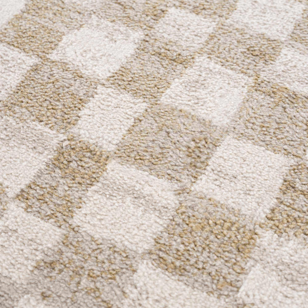 Benjy Cream & Gold Checkered Area Rug Hauteloom