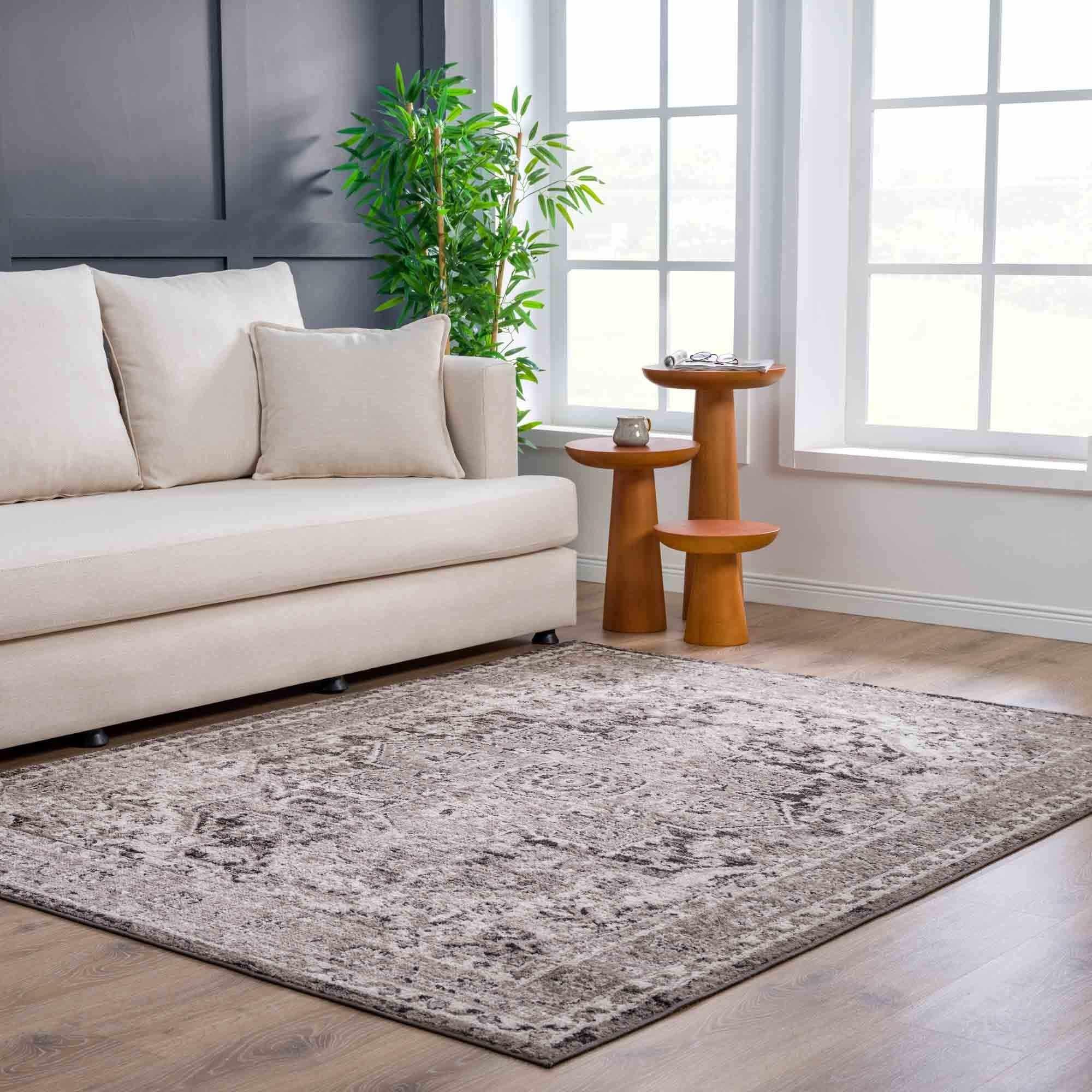 Albie Charcoal & Beige Area Rug Hauteloom
