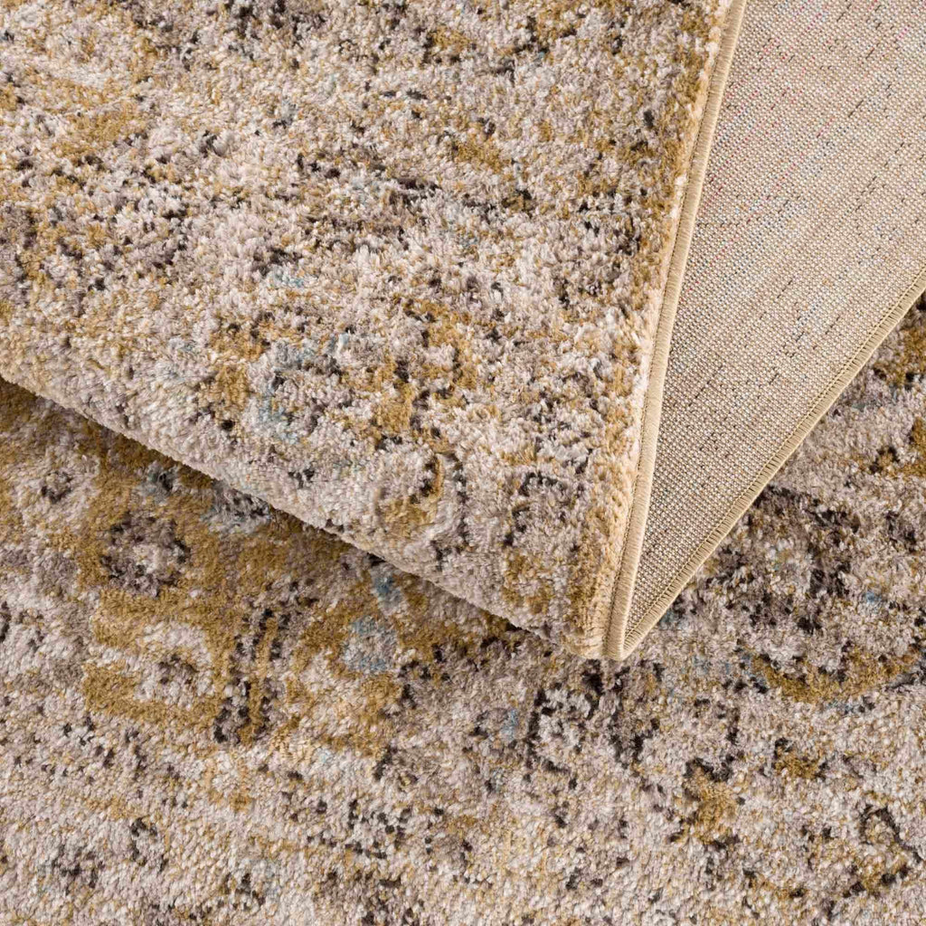 Anana Gold & Beige Area Rug Hauteloom