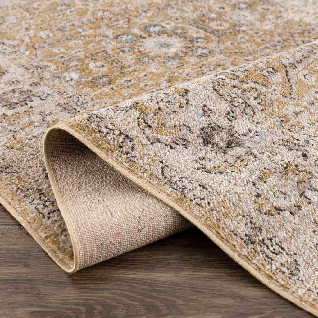 Anana Gold & Beige Area Rug Hauteloom