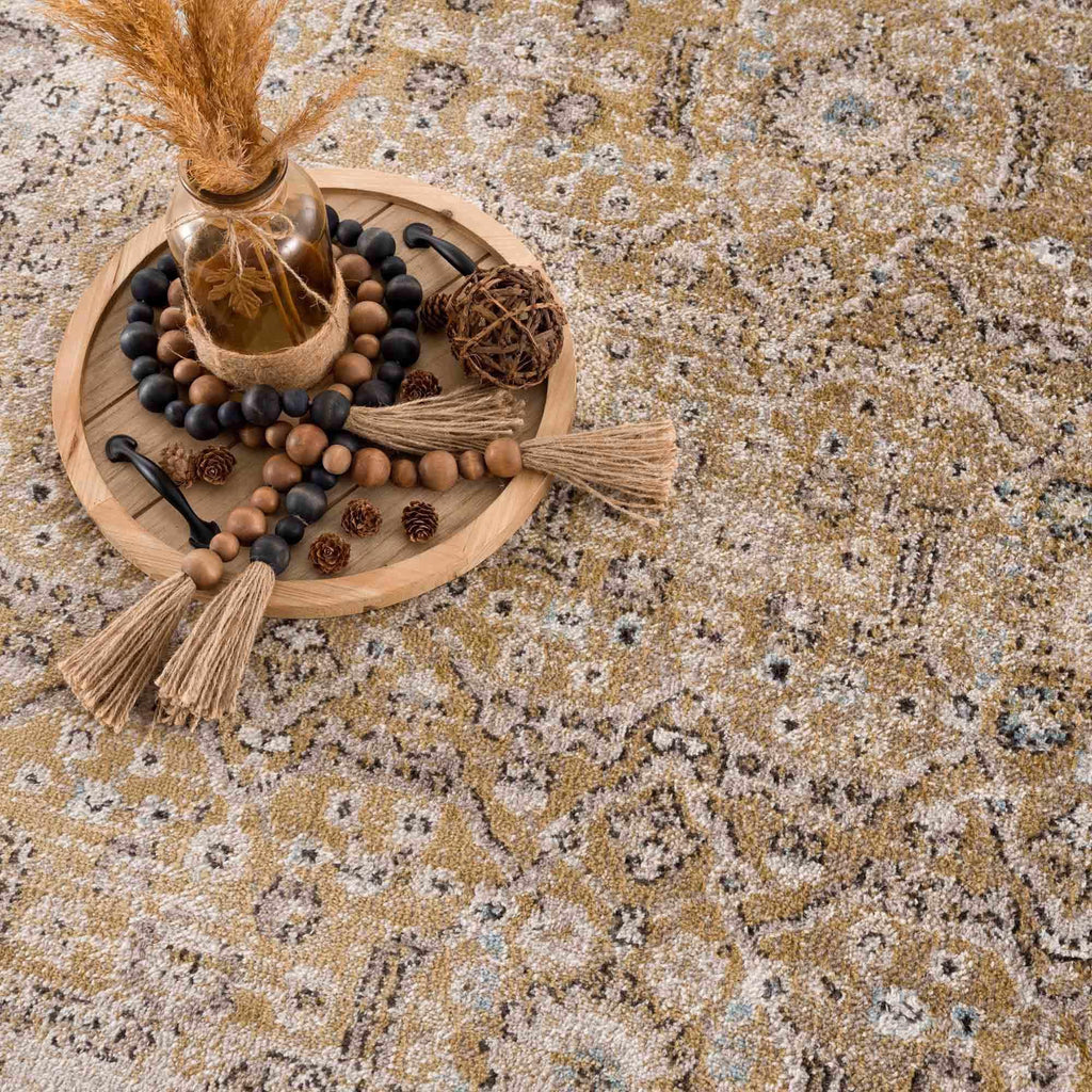 Anana Gold & Beige Area Rug Hauteloom