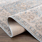 Anana Silver Blue & Beige Area Rug Hauteloom