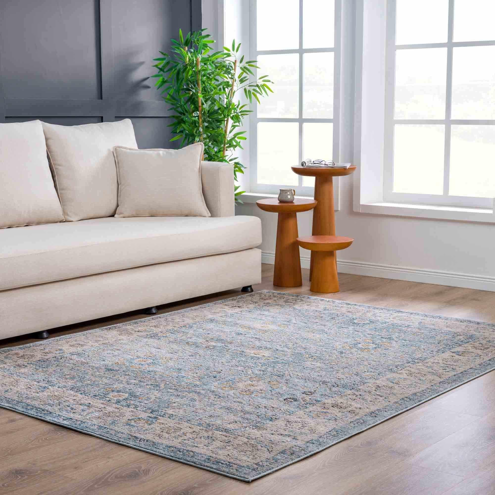 Anana Silver Blue & Beige Area Rug Hauteloom