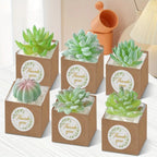 35 combination sets, 30pcs succulent bags with 5pcs thank you stickers, suitable for 2.5-inch flower POTS, Mini brown paper succulent gift basket with handles, perfect for weddings, birthdays, holidays, succulent party giveaw House Of Avana [[SKU:HOA-GFT-016]]