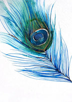 Peacock Feather Art Print
