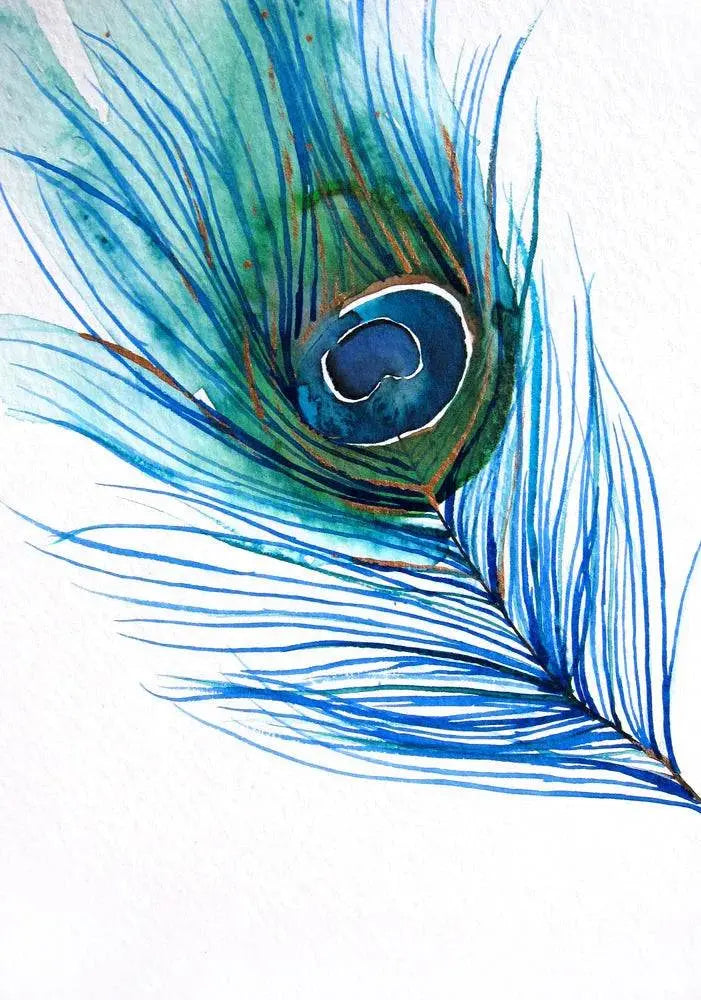 Peacock Feather Art Print