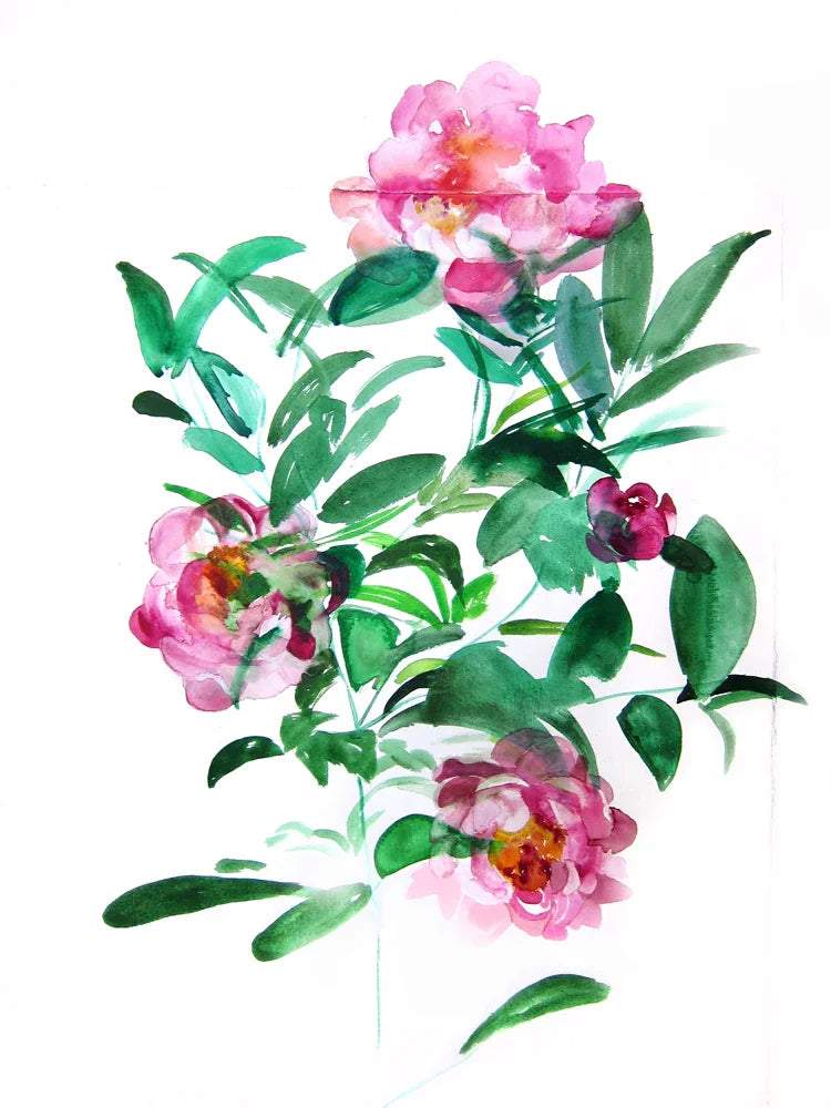 Peonies Art Print – Archival Floral Wall Art