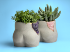 Rose Quartz Butt Planter AURA 8 HOME