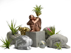 NUDE MALE BODY FIGURINE #1 AURA 8 HOME