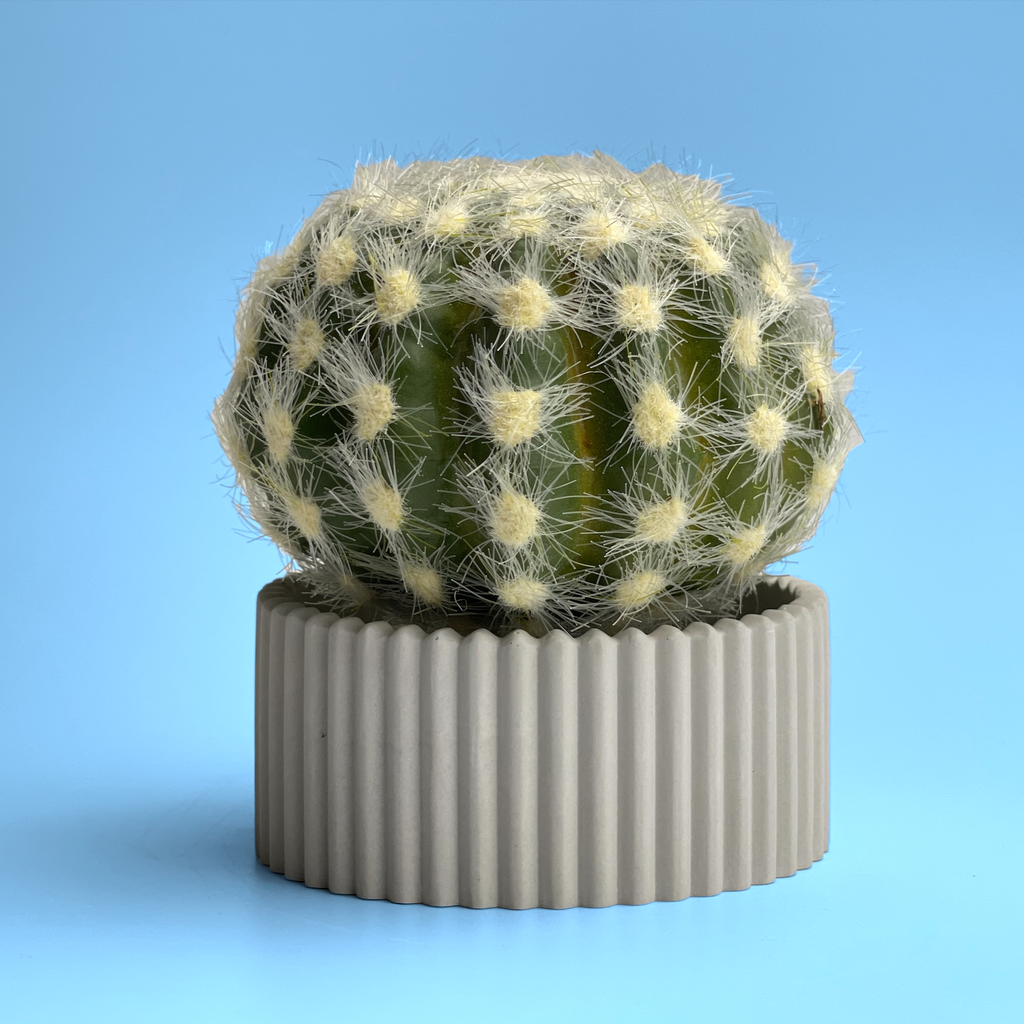 Scandinavian Air Plant Holder | Succulent Planter AURA 8 HOME