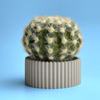 Scandinavian Air Plant Holder | Succulent Planter AURA 8 HOME