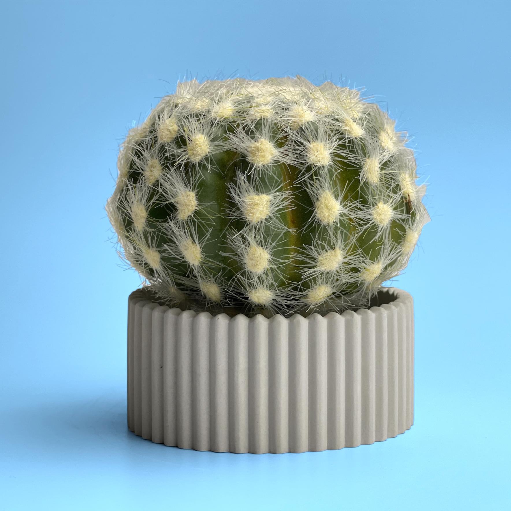 Scandinavian Air Plant Holder | Succulent Planter AURA 8 HOME