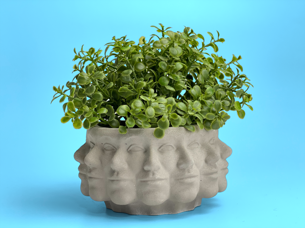 Multi Face Succulent Planter AURA 8 HOME