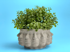 Multi Face Succulent Planter AURA 8 HOME