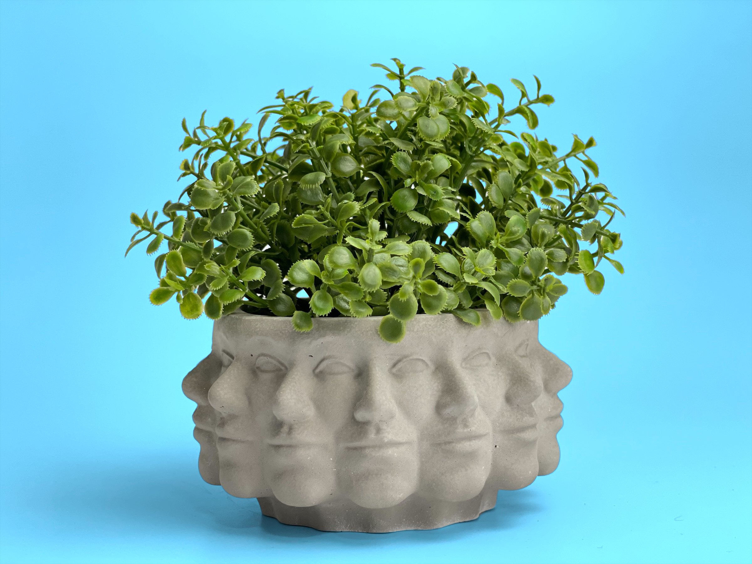 Multi Face Succulent Planter AURA 8 HOME