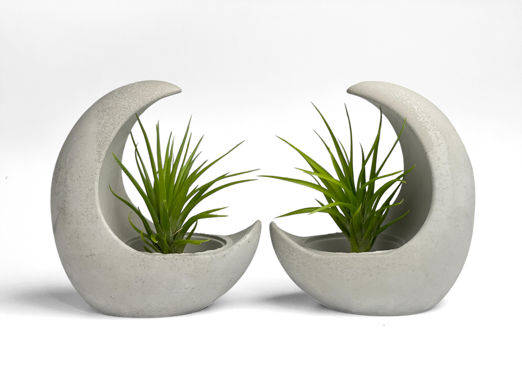 YOUNG MOON AIR PLANT HOLDER AURA 8 HOME
