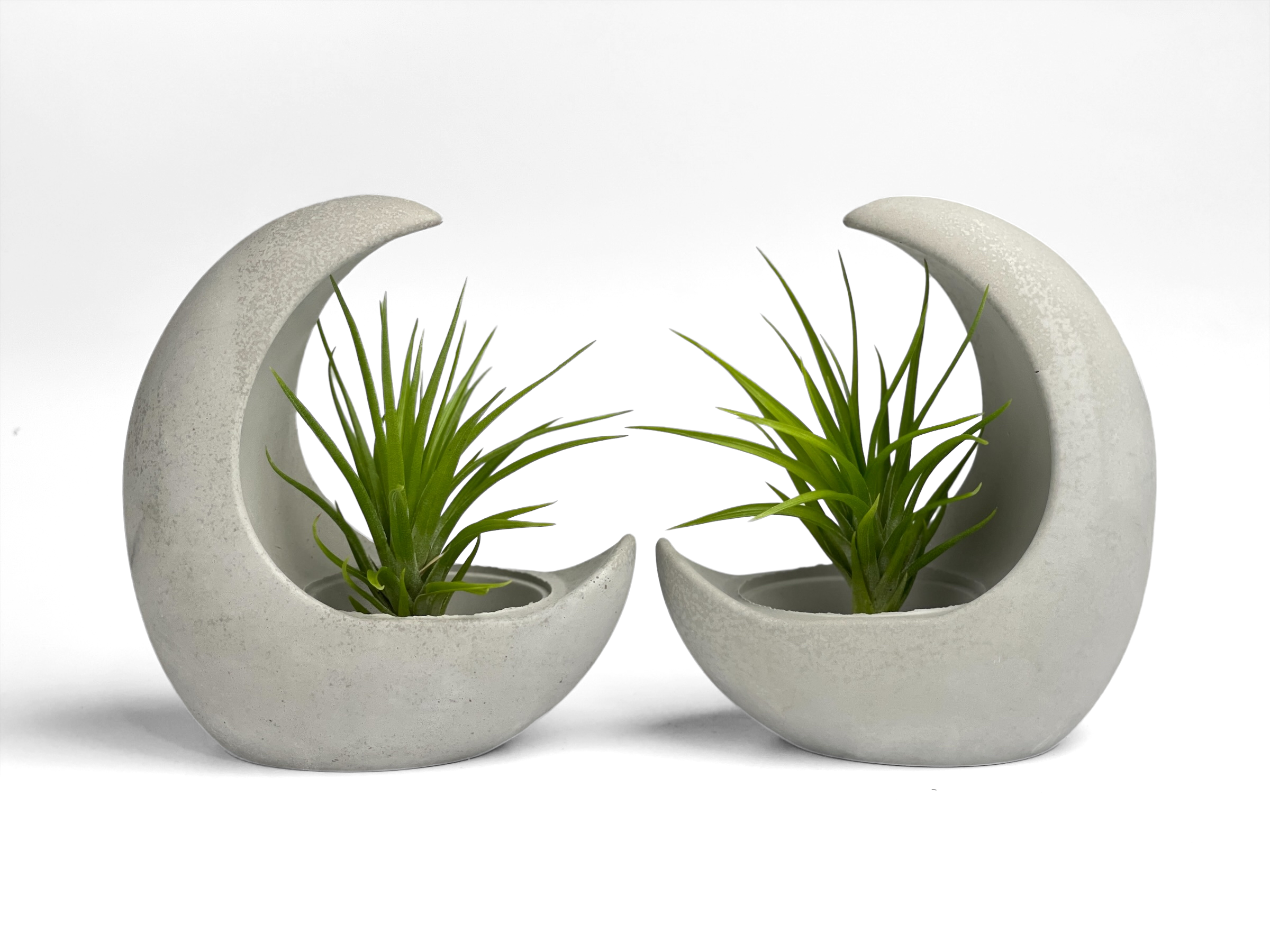 YOUNG MOON AIR PLANT HOLDER AURA 8 HOME