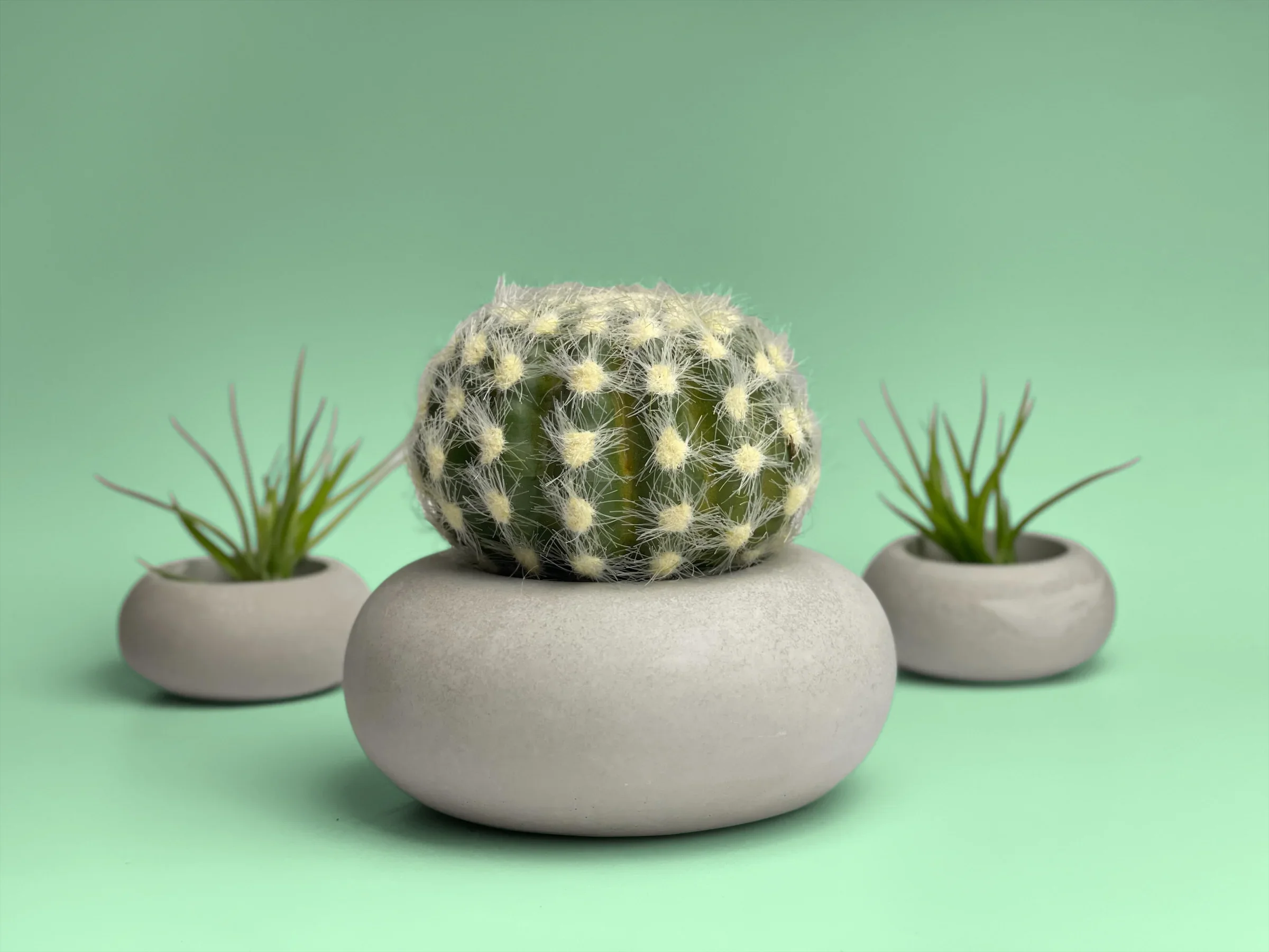 Perfect Succulent Planter AURA 8 HOME