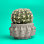 Multi Face Succulent Planter AURA 8 HOME