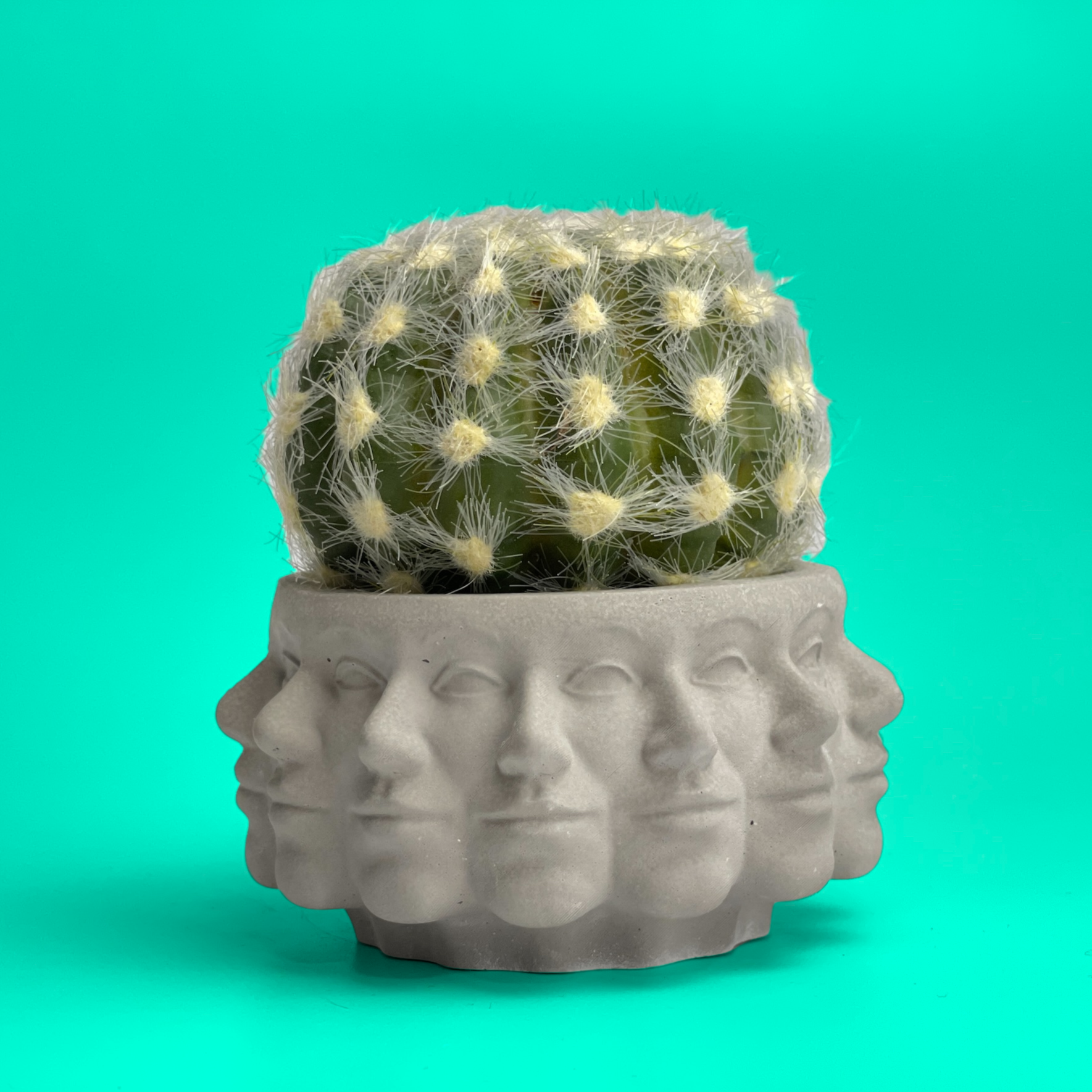 Multi Face Succulent Planter AURA 8 HOME