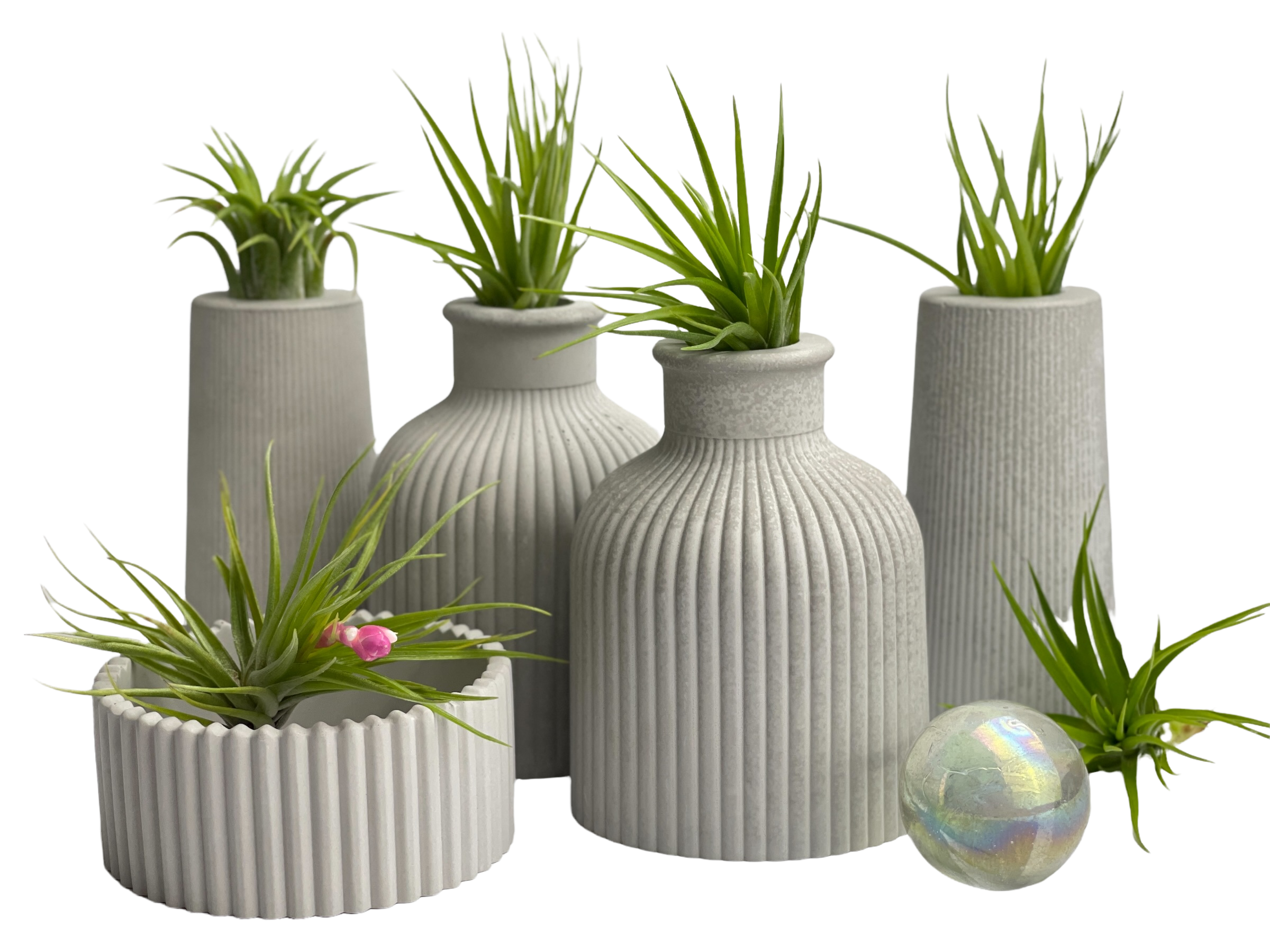 SKINNY MINI VASE | AIR PLANT HOLDER AURA 8 HOME