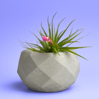 Geometric Air Plant Holder AURA 8 HOME