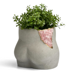 Rose Quartz Butt Planter AURA 8 HOME