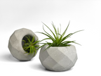 Geometric Air Plant Holder AURA 8 HOME