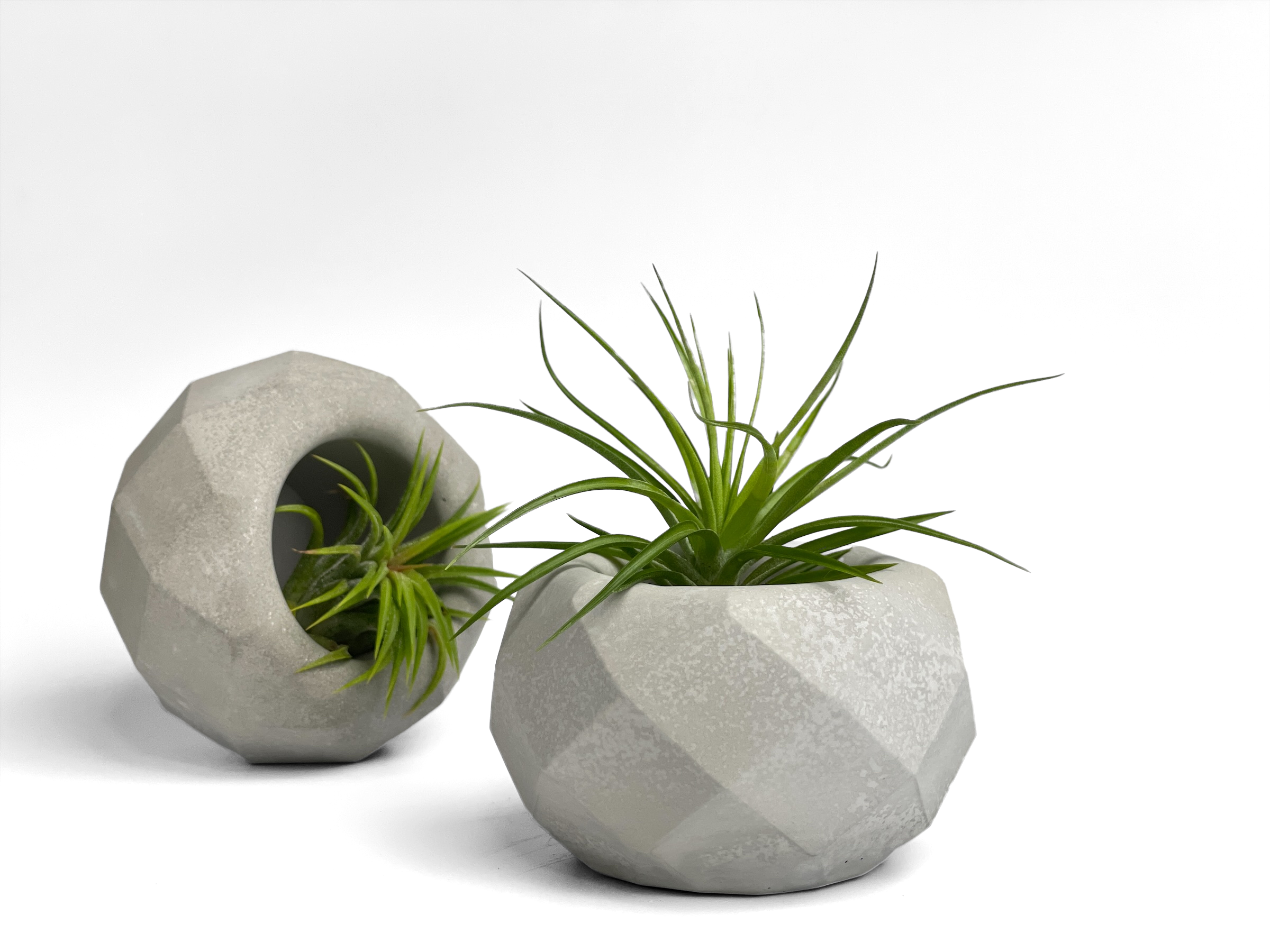 Geometric Air Plant Holder AURA 8 HOME