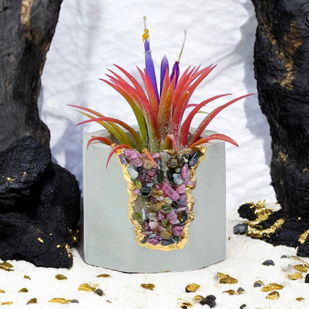 TOURMALINE GEODE PLANTER AURA 8 HOME