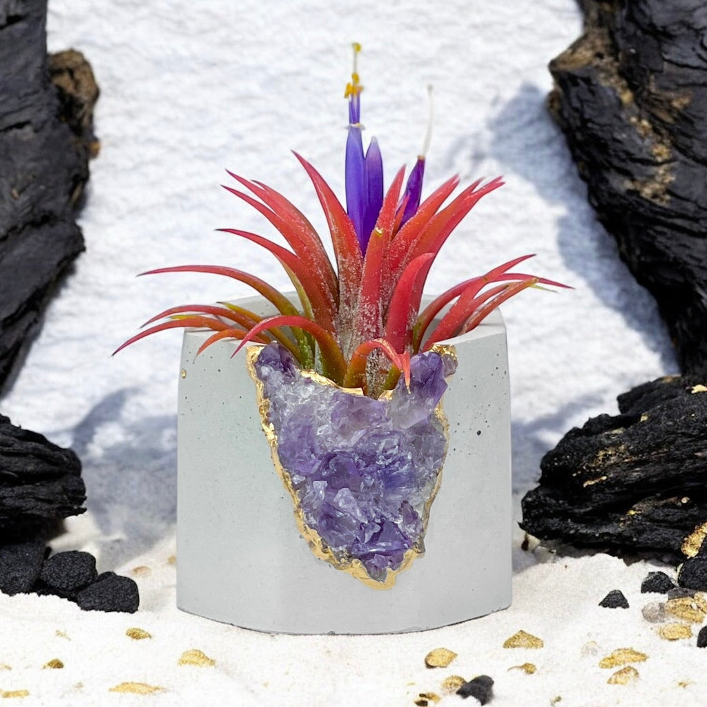 Brazil AMETHYST GEODE PLANTER AURA 8 HOME