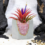 ROSE QUARTZ GEODE PLANTER AURA 8 HOME