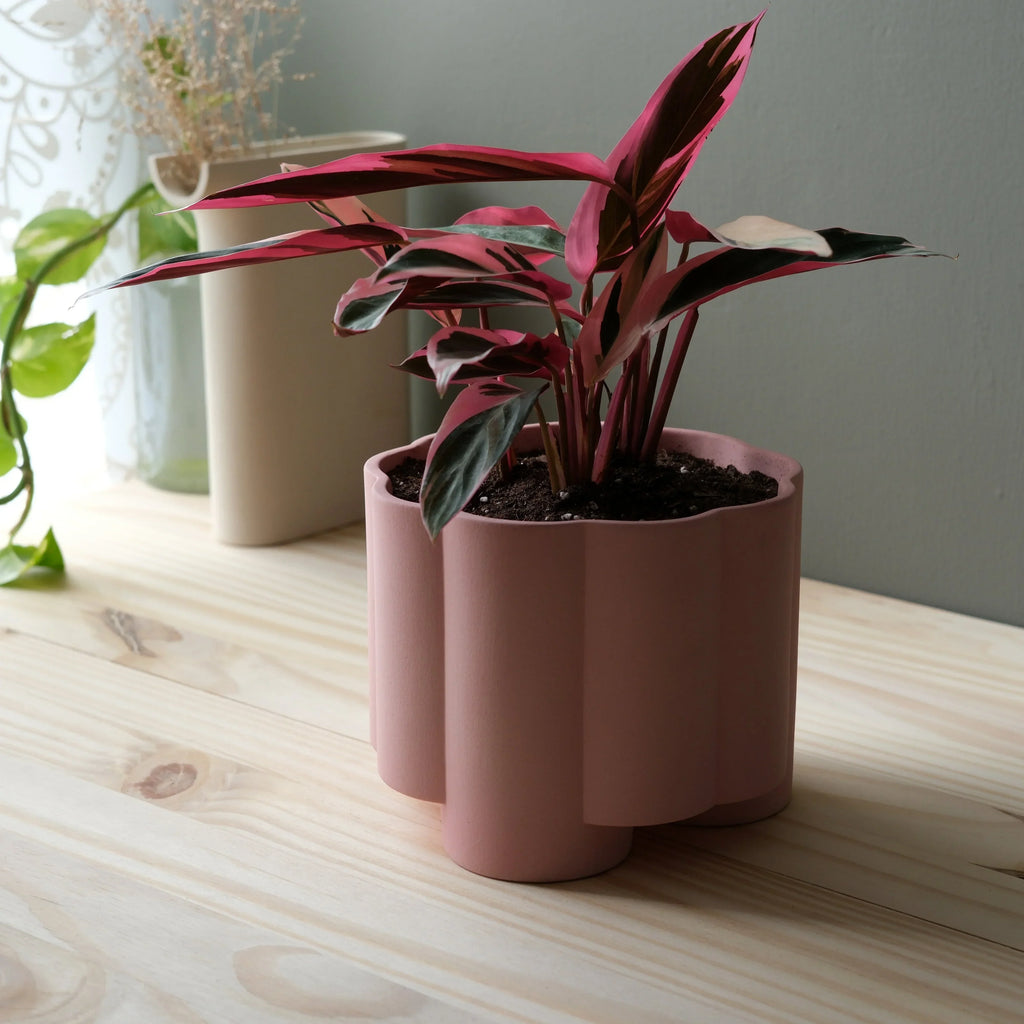 Pillar Planter Misewell