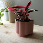 Pillar Planter Misewell