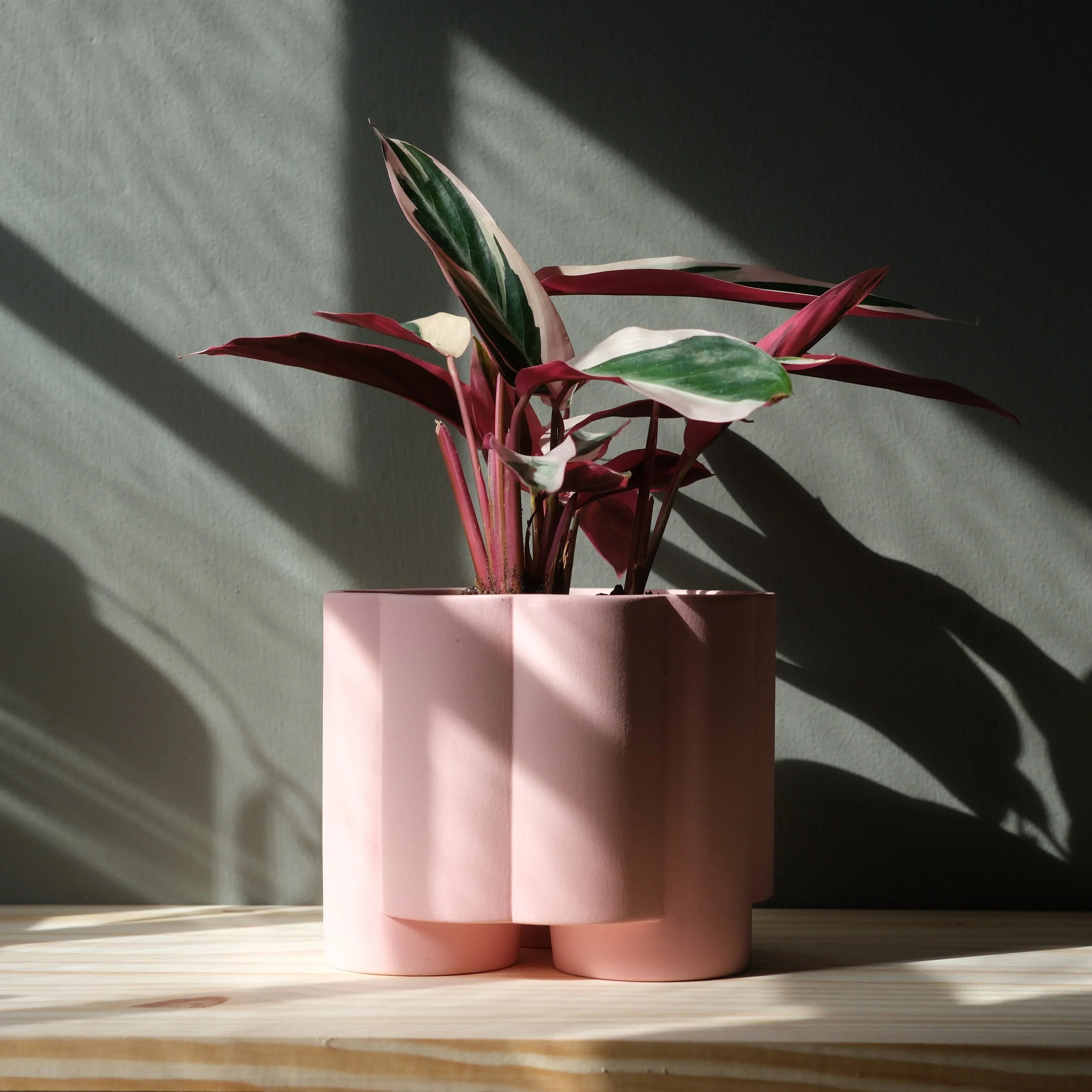 Pillar Planter Misewell