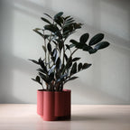 Pillar Planter Misewell