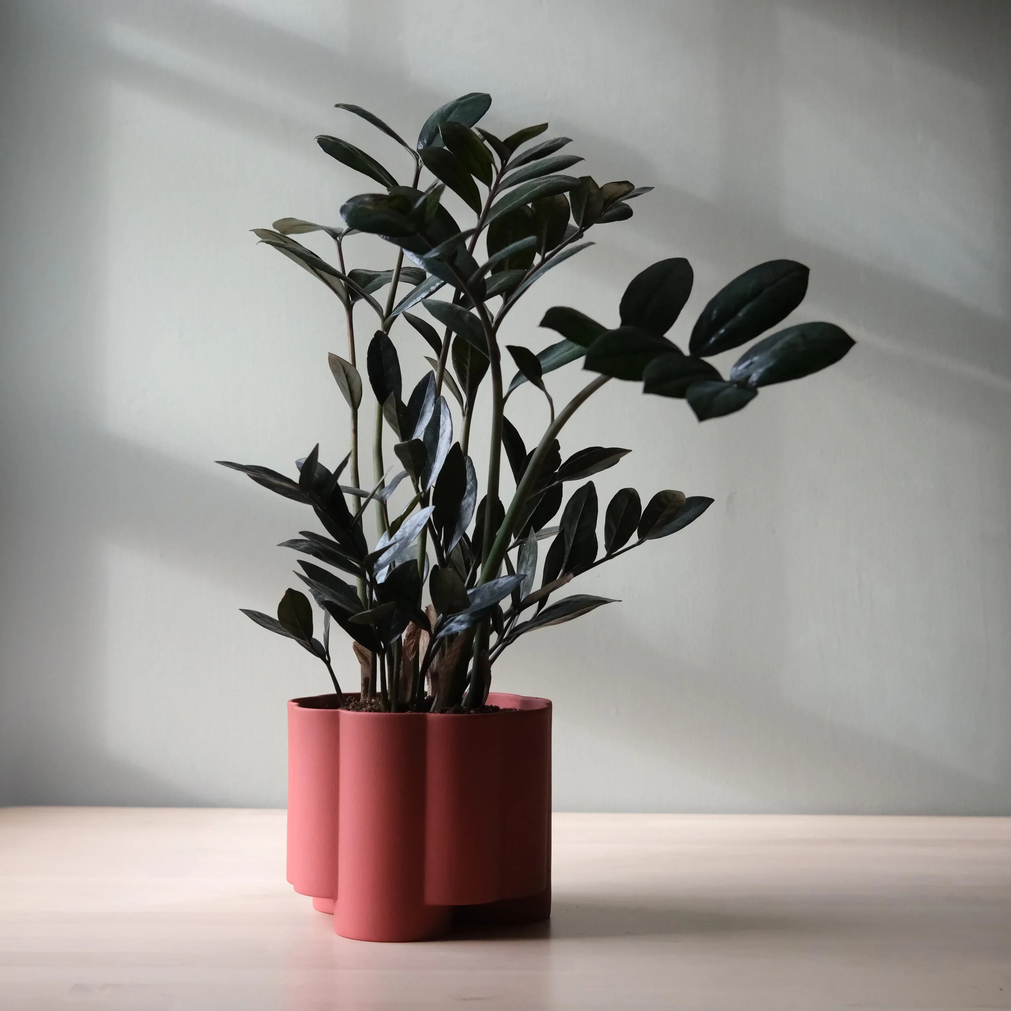 Pillar Planter Misewell