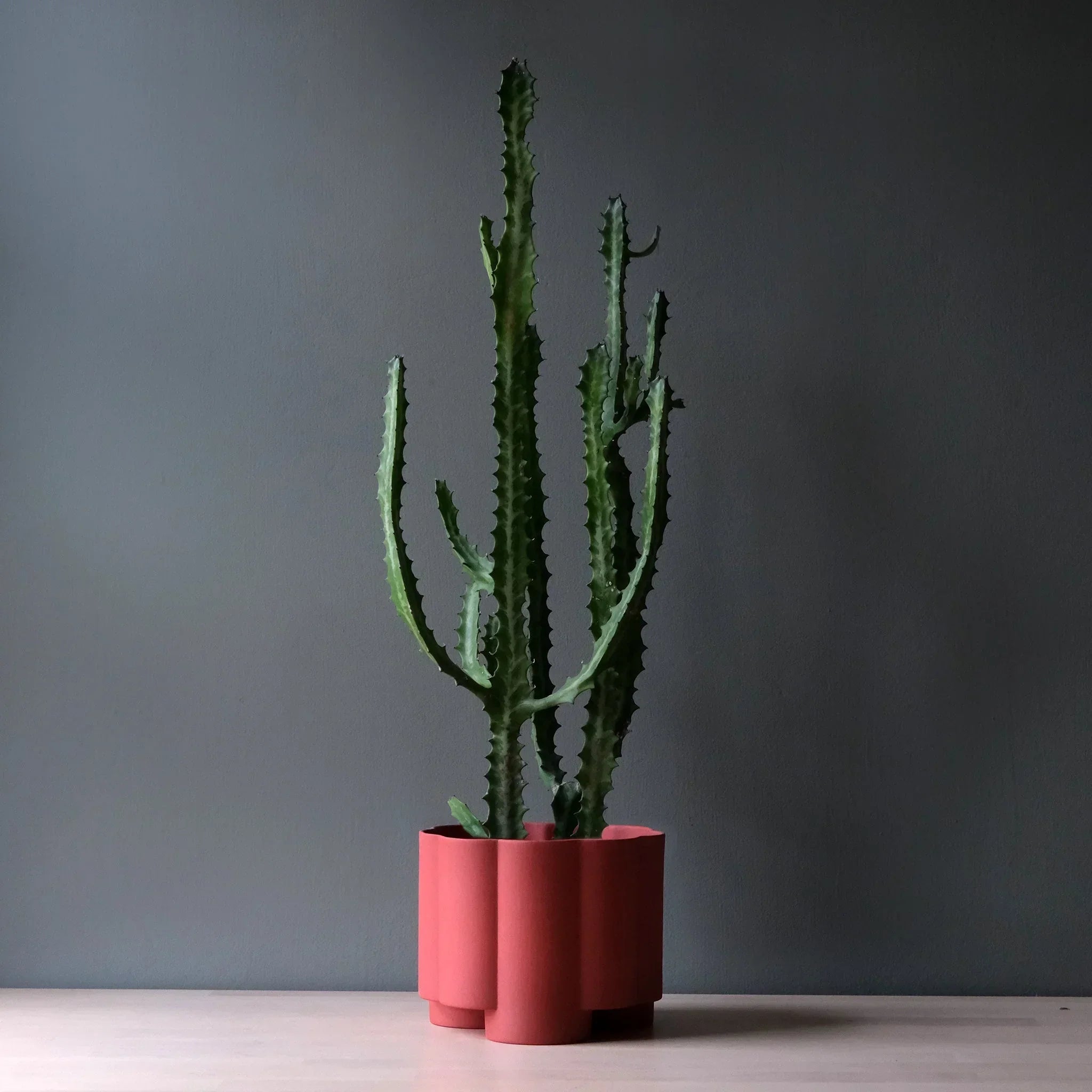 Pillar Planter Misewell