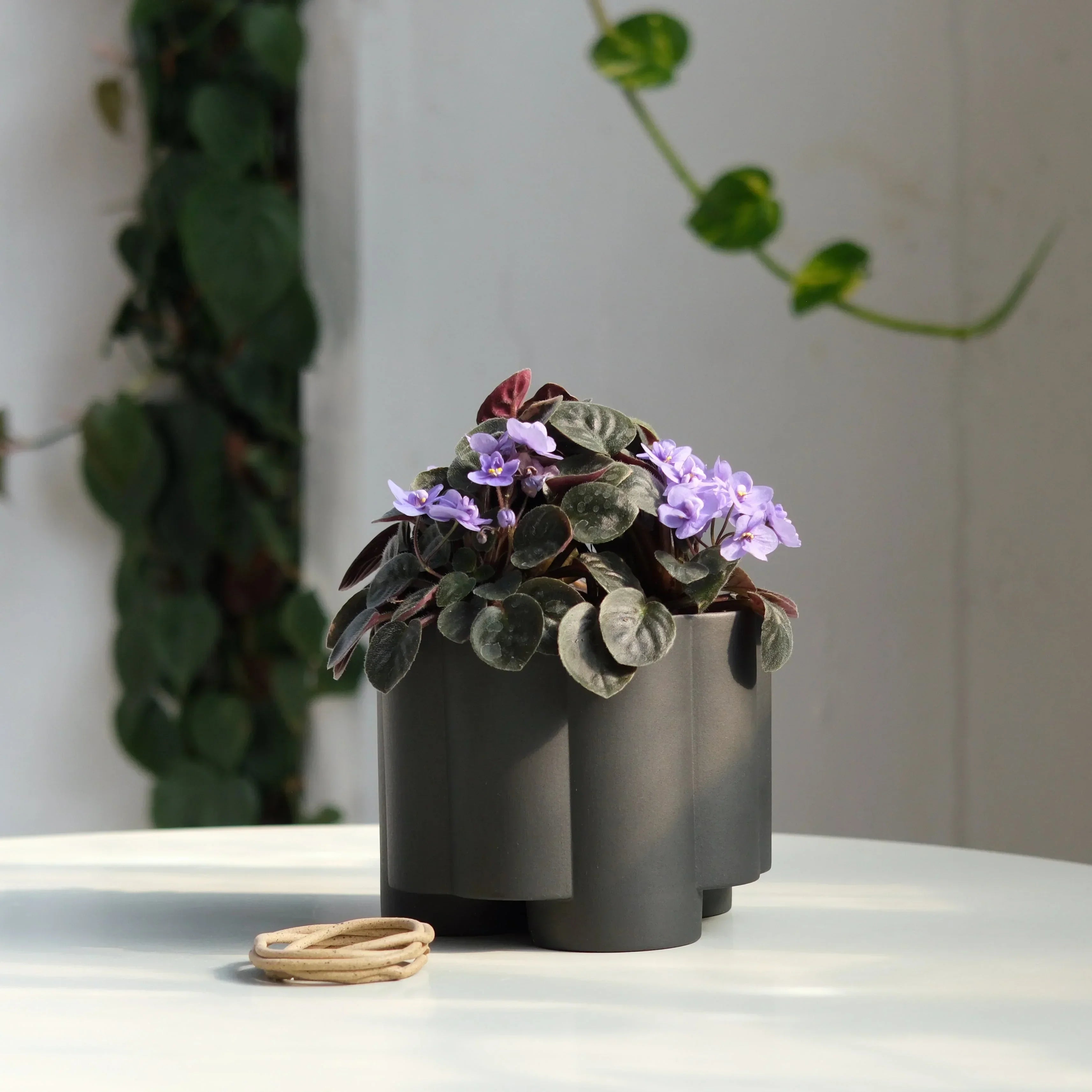Pillar Planter Misewell