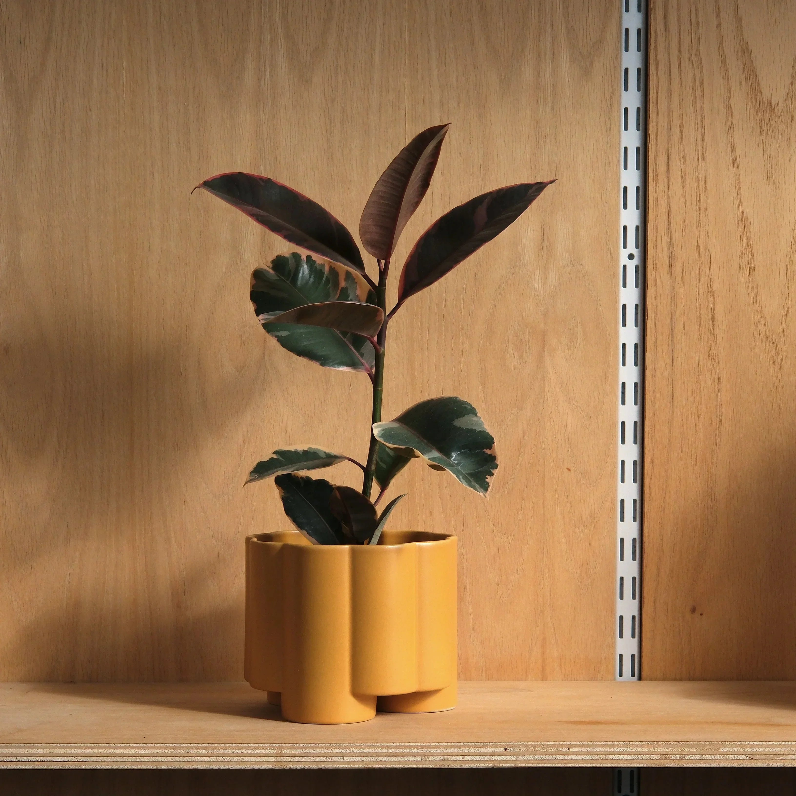 Pillar Planter Misewell