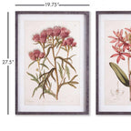 Pink Vintage Botanical Floral Prints (Set of 2) Vintage Shopper