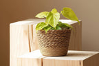 Planter - Woven Seaweed Large