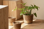 Planter - Woven Seaweed Large