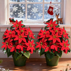 2pcs of 24 Flowers - Holiday Artificial Plants Norfolk Faux Flowers - Lifelike Pine Tree Wreath, Beautiful Poinsettia, Suitable for Outdoor Use - Christmas Wreath, Vase Fillers, Home Decor - Durable Plastic, Easy Assembly House Of Avana