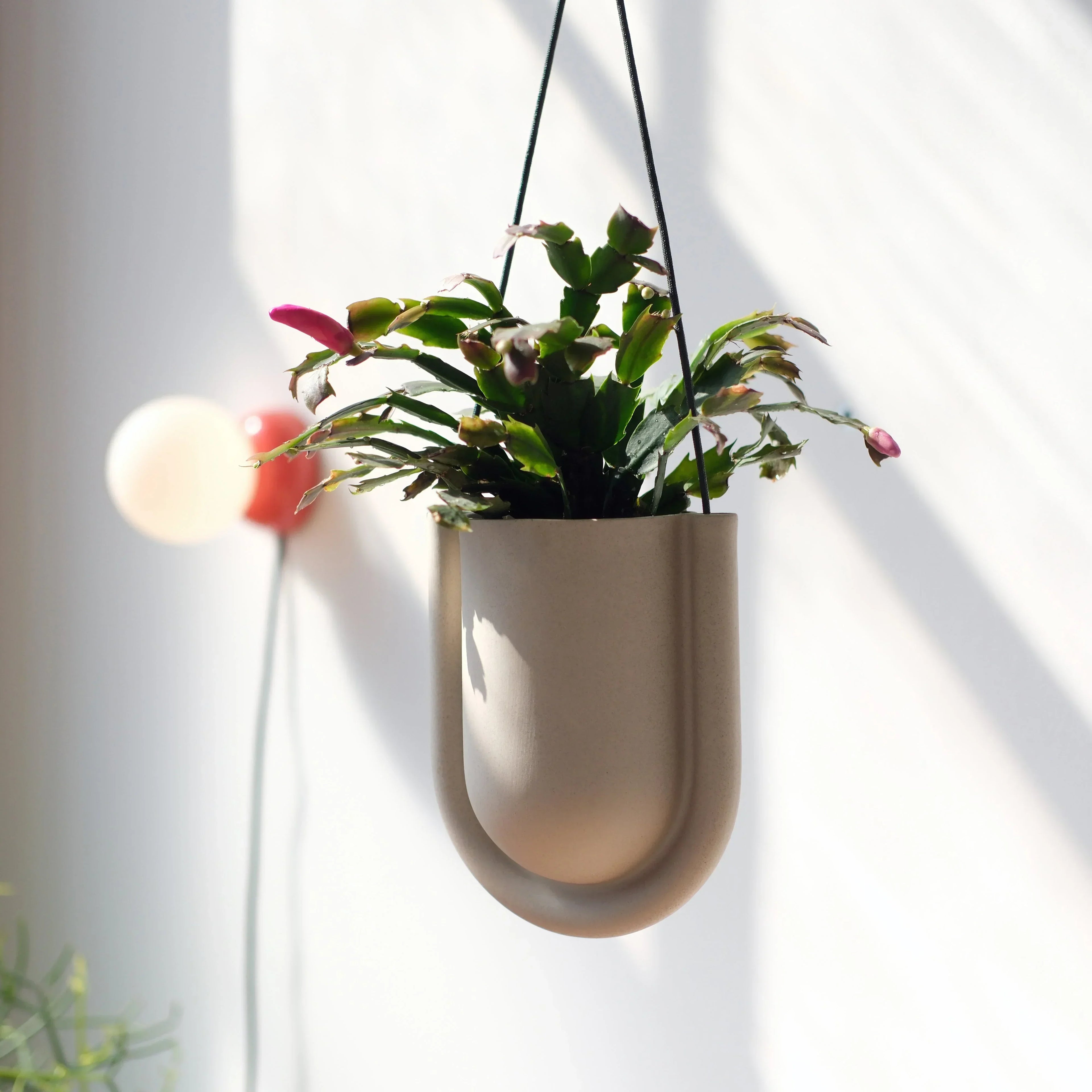 Portico Planter Misewell